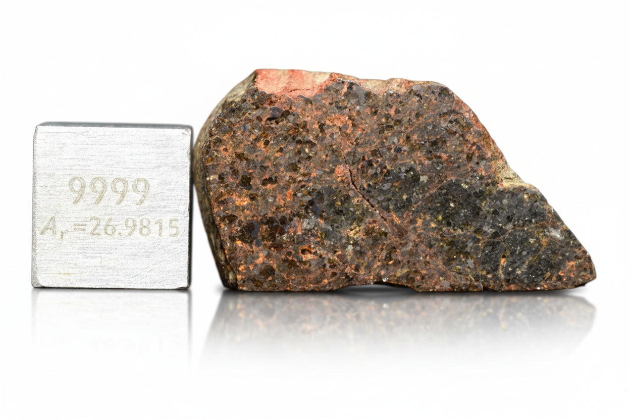 Slice of Brachinite NWA 11756 meteorite from Buy Meteorite, LLC, showing its dark, textured mineral surface and internal structure.