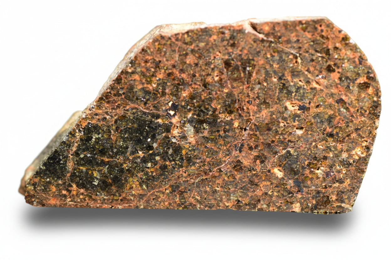 Slice of Brachinite NWA 11756 meteorite showing metallic inclusions and mineral textures, weighing 3.05 grams.