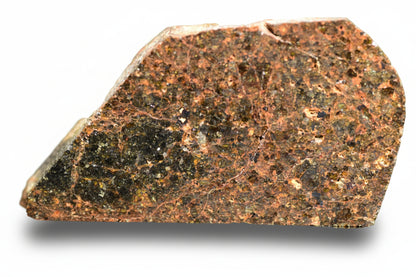 Slice of Brachinite NWA 11756 meteorite showing metallic inclusions and mineral textures, weighing 3.05 grams.