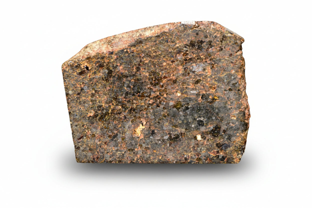 Close-up of a Brachinite NWA 11756 meteorite slice showing its textured, metallic surface and natural mineral patterns.