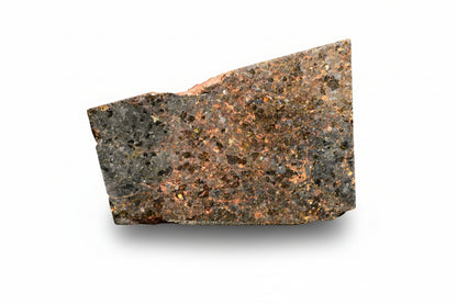 Brachinite NWA 11756 meteorite slice showing metallic and mineral textures, weighing 3.59 grams, from Buy Meteorite, LLC.