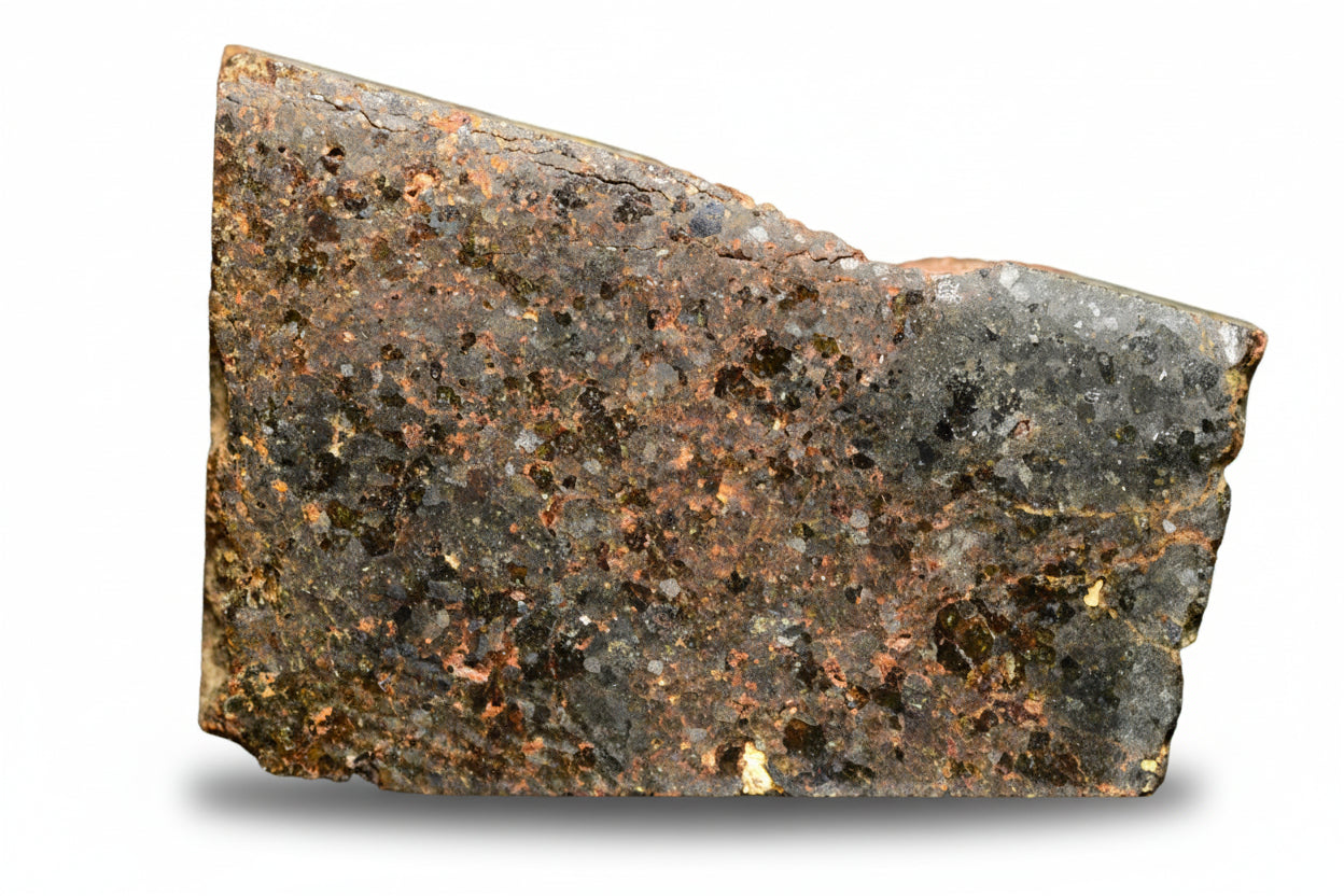 Brachinite NWA 11756 meteorite slice weighing 3.59 grams, showcasing its textured mineral surface and unique extraterrestrial appearance.