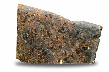 Brachinite NWA 11756 meteorite slice weighing 3.59 grams, showcasing its textured mineral surface and unique extraterrestrial appearance.