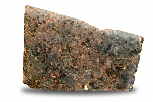 brachinite meteorite NWA 11756 slice S09 3.59 g olivine rich