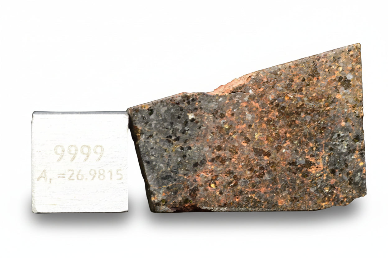 Brachinite NWA 11756 meteorite slice showing silicate mineral textures and metallic inclusions, displayed on a scale for measurement.