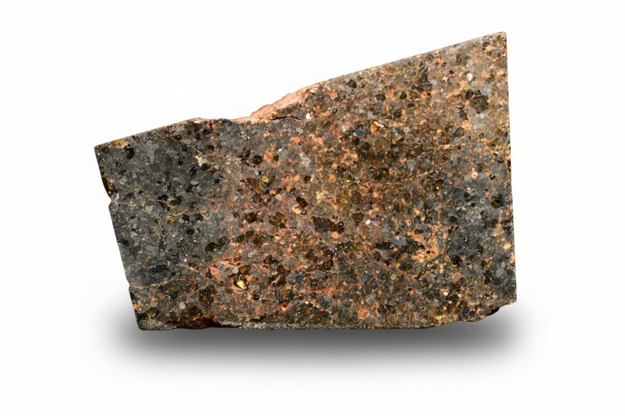 Brachinite NWA 11756 meteorite slice showing dark fusion crust and metallic mineral interior, weighing 3.59 grams.