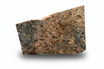 Brachinite NWA 11756 meteorite slice showing dark fusion crust and metallic mineral interior, weighing 3.59 grams.