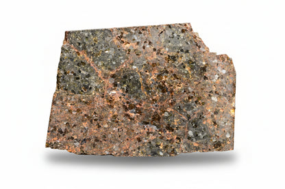 Close-up of Brachinite NWA 11756 meteorite slice showing metallic and mineral textures, weighing 3.13 grams.