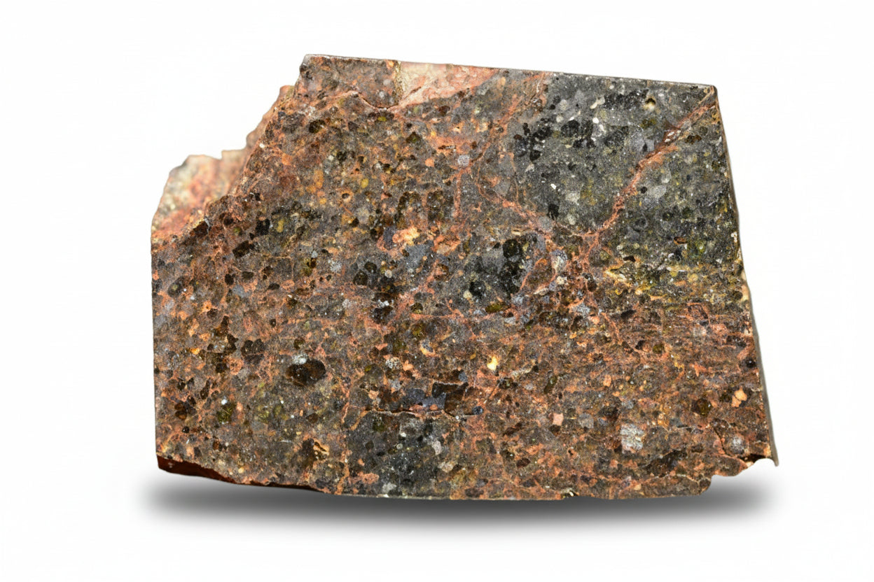 Brachinite NWA 11756 meteorite slice displayed on a white background, showing its textured, dark metallic surface and mineral details.