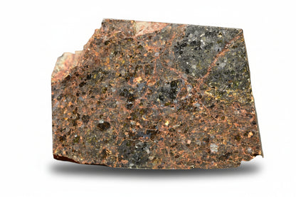 Brachinite NWA 11756 meteorite slice displayed on a white background, showing its textured, dark metallic surface and mineral details.