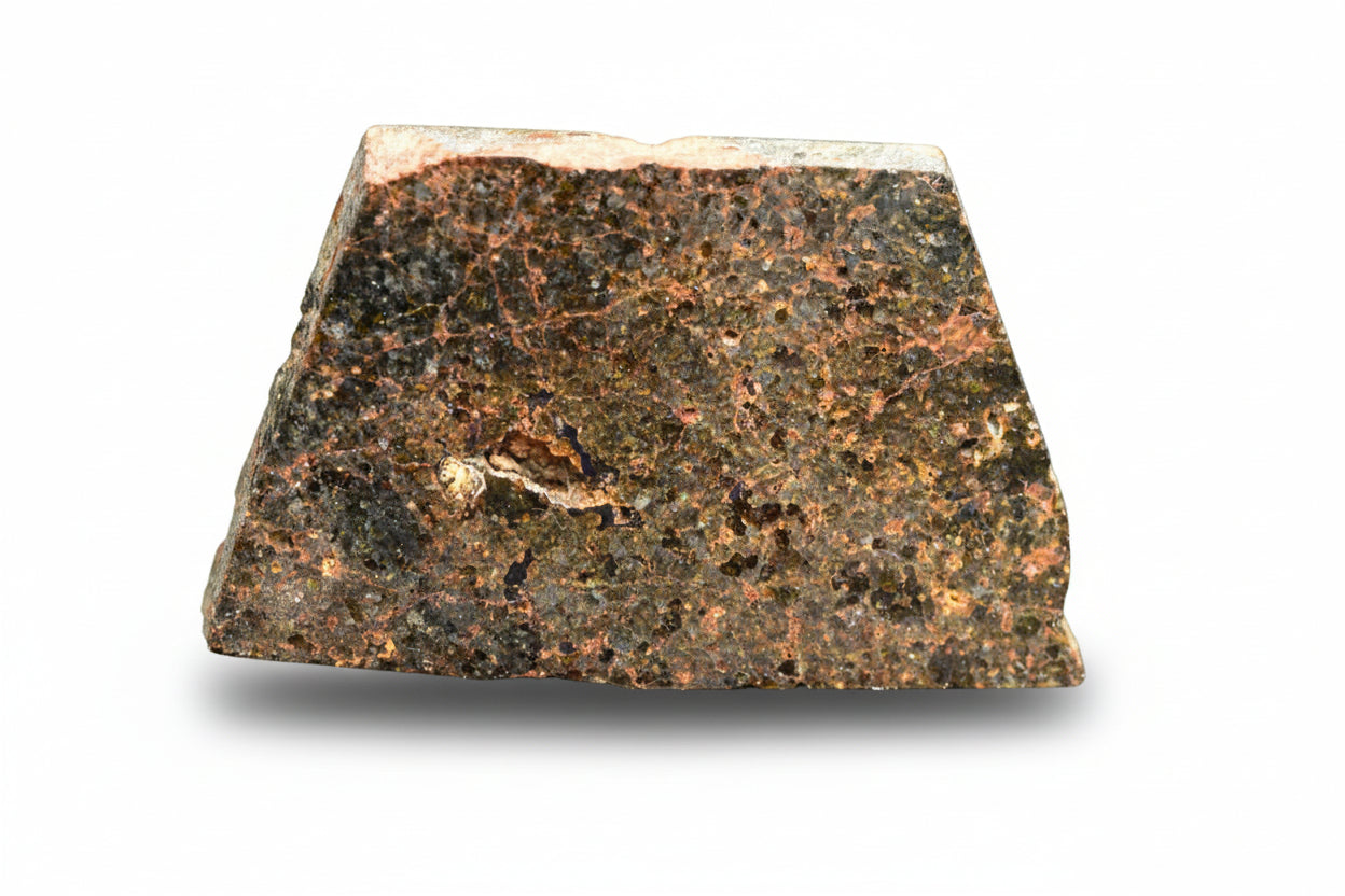 Brachinite NWA 11756 meteorite slice showing metallic and mineral textures, weighing 3.31 grams, from Buy Meteorite, LLC.