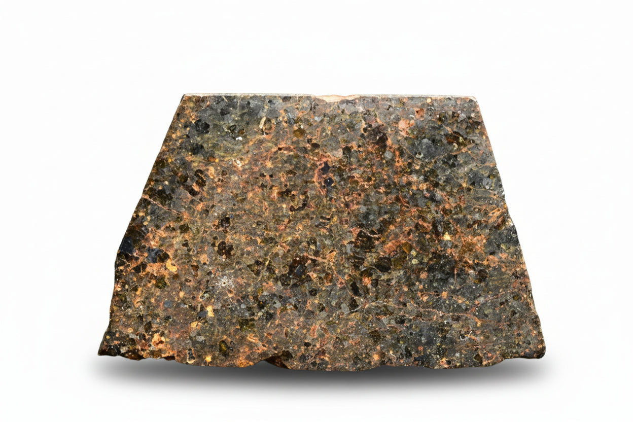 Slice of Brachinite NWA 11756 meteorite showing metallic and mineral textures, weighing 3.31 grams, from Buy Meteorite, LLC.