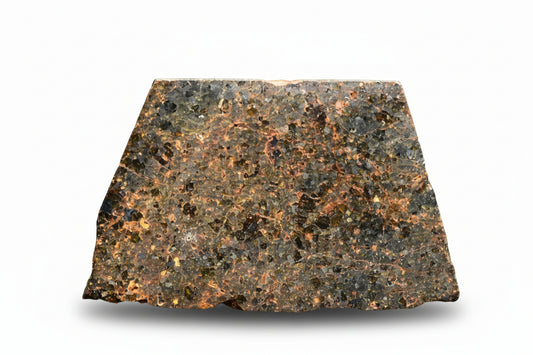 brachinite meteorite NWA 11756 slice S12 3.31 g olivine rich