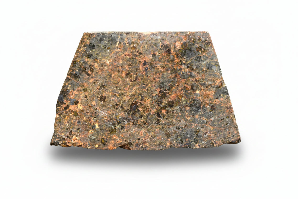 Brachinite NWA 11756 meteorite slice showing metallic and mineral textures, weighing 3.31 grams, from Buy Meteorite, LLC.