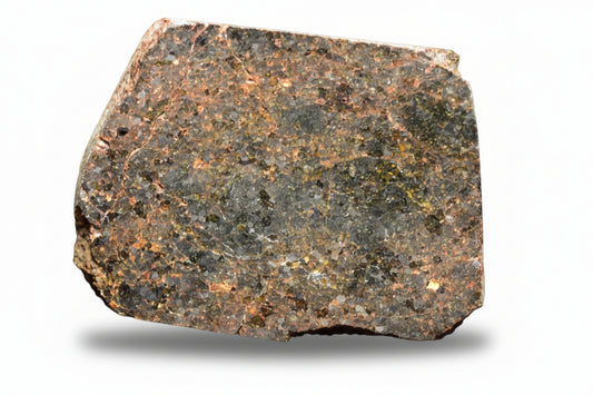 Brachinite NWA 11756 meteorite slice showing metallic and mineral textures, weighs 4.70 grams, from Buy Meteorite, LLC.