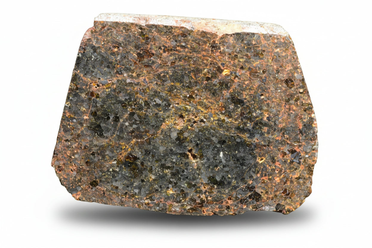 Brachinite NWA 11756 meteorite slice weighing 4.70 grams, showing metallic mineral inclusions and dark fusion crust.