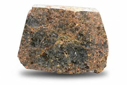 Brachinite NWA 11756 meteorite slice weighing 4.70 grams, showing metallic mineral inclusions and dark fusion crust.
