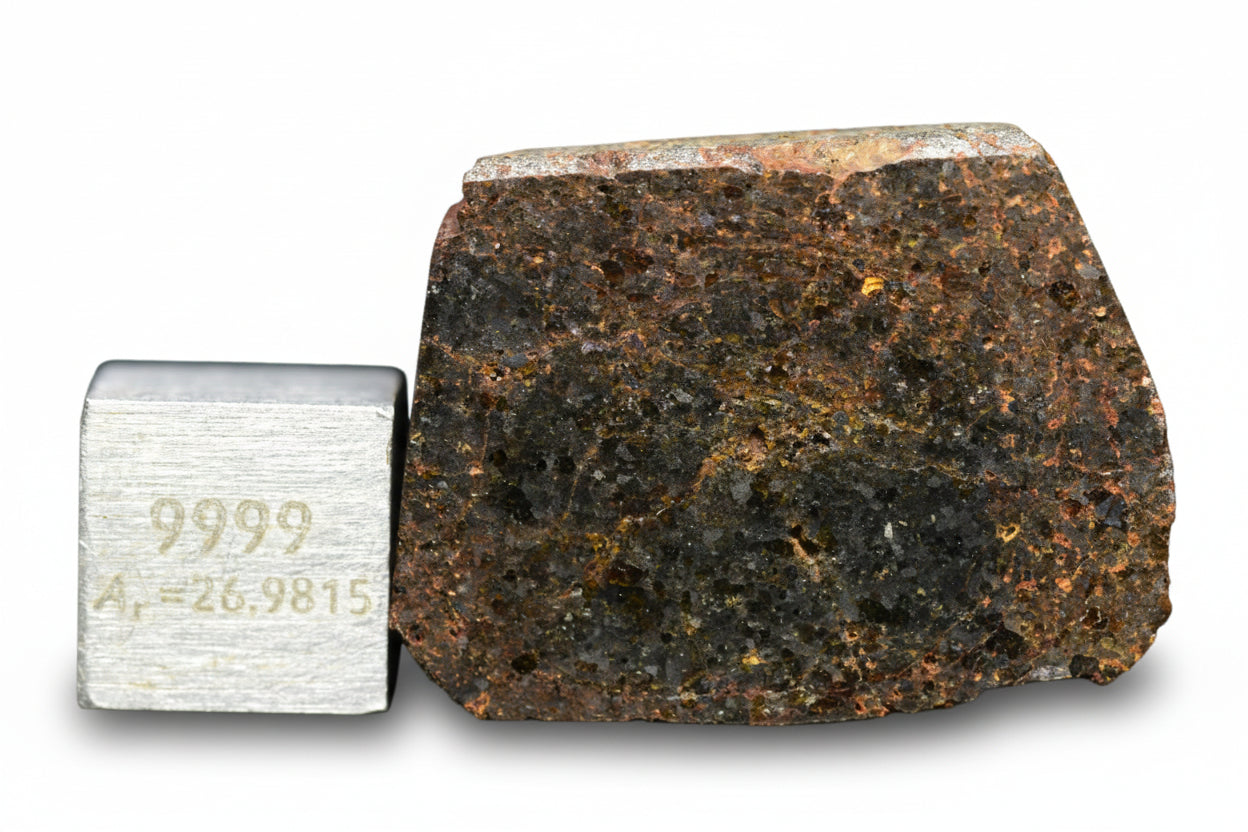Brachinite NWA 11756 meteorite slice from Buy Meteorite, LLC, showing textured metallic surface and crystalline structure.