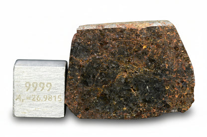 Brachinite NWA 11756 meteorite slice from Buy Meteorite, LLC, showing textured metallic surface and crystalline structure.