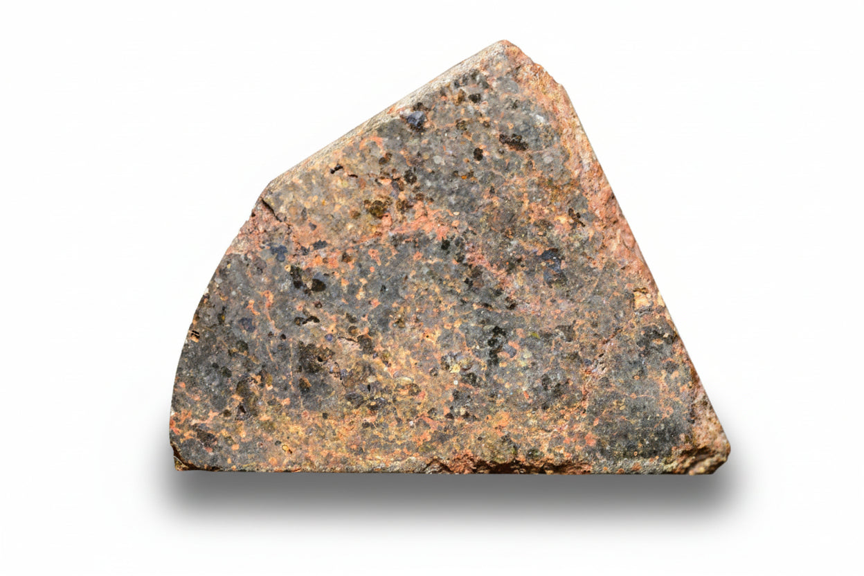 Brachinite NWA 11756 meteorite slice from Buy Meteorite, LLC, showing metallic and gray mineral textures on a white background.