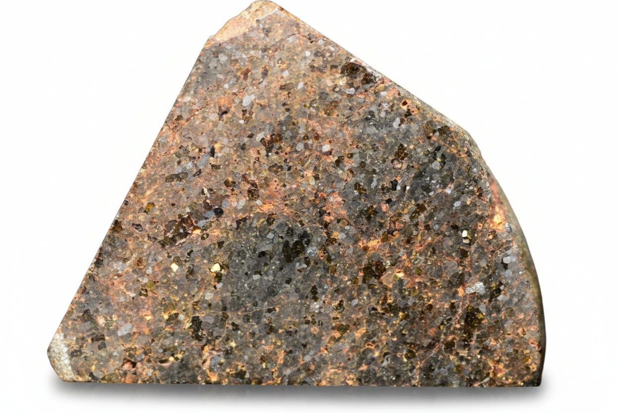 Slice of Brachinite NWA 11756 meteorite, showcasing its metallic minerals and unique textures on a mineral display.