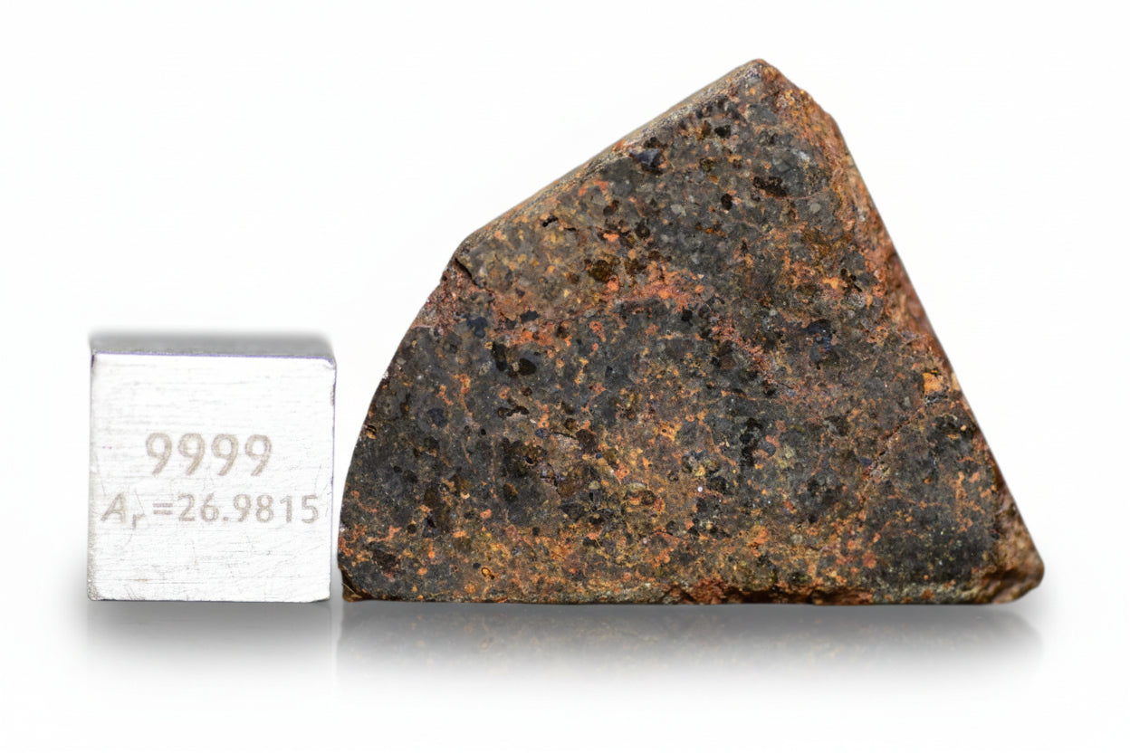 Brachinite NWA 11756 meteorite slice showing dark fusion crust and mineral interior on a scale for size reference.