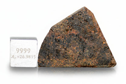 Brachinite NWA 11756 meteorite slice showing dark fusion crust and mineral interior on a scale for size reference.