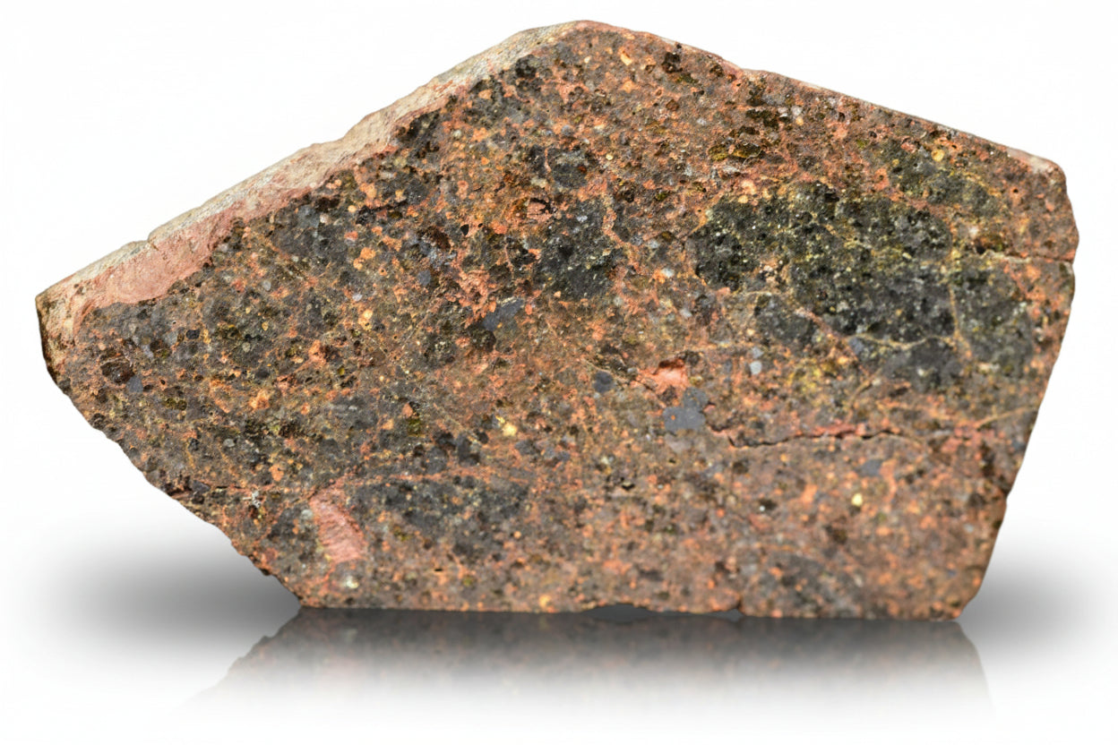 Brachinite NWA 11756 meteorite slice from Buy Meteorite, LLC, showing a textured, gray extraterrestrial rock specimen.