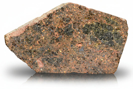Brachinite NWA 11756 meteorite slice from Buy Meteorite, LLC, showing a textured, gray extraterrestrial rock specimen.