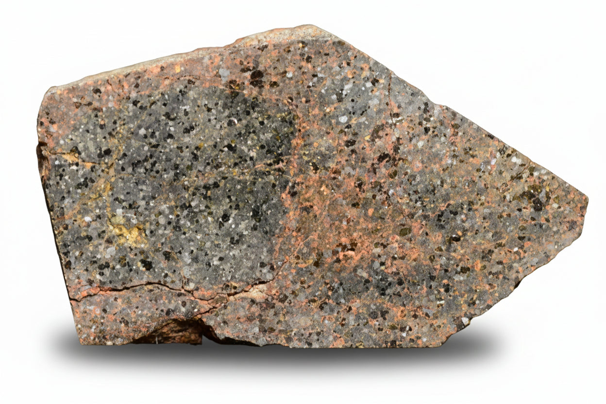 Brachinite NWA 11756 meteorite slice showing dark matrix and mineral inclusions, weighing 8.34 grams.
