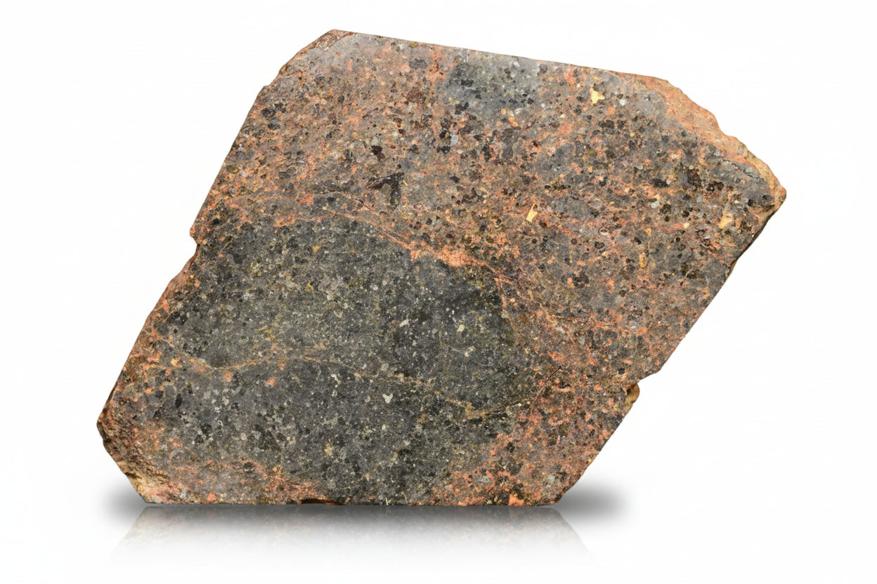 Brachinite NWA 11756 meteorite slice showing dark matrix and mineral inclusions, weighing 10.91 grams, from Buy Meteorite, LLC.