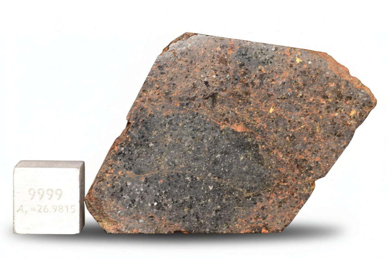 Brachinite NWA 11756 meteorite slice showing dark matrix and mineral inclusions, displayed on a scale for size reference.