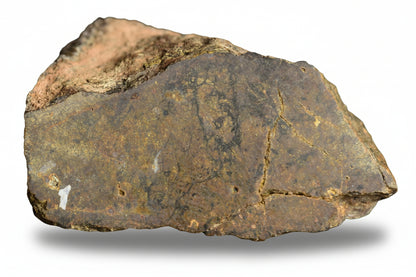 Large NWA 13272 Ungrouped Achondrite meteorite endcut, 51.6 g, showing dark, textured surface with natural rock features.