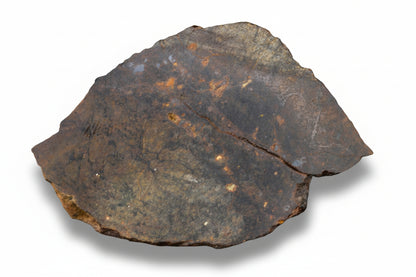 NWA 13272 ungrouped achondrite meteorite slice weighing 18.66 grams, with a textured, dark mineral surface for collection or study.