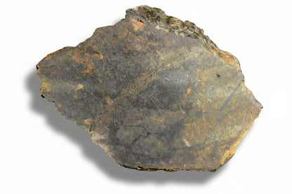 NWA 13272 ungrouped achondrite meteorite slice weighing 6.03 grams, showing dark mineral matrix and unique planetary surface features.