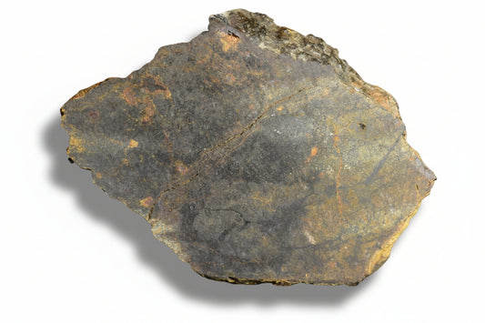 NWA 13272 ungrouped achondrite slice 6.03 g unpolished meteorite