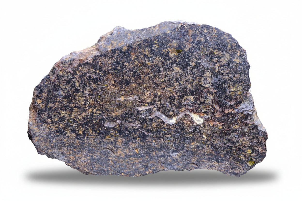 NWA 14867 Mesosiderite meteorite endcut slice 9.9g showing silicate and metal matrix from Morocco.