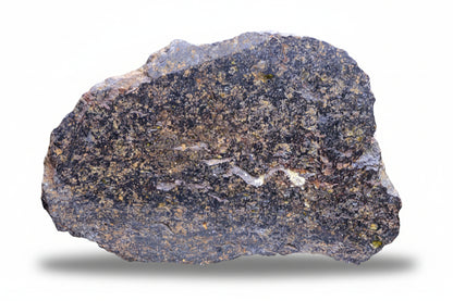 NWA 14867 Mesosiderite meteorite endcut slice 9.9g showing silicate and metal matrix from Morocco.