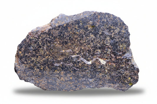 NWA 14867 Mesosiderite meteorite endcut slice 9.9g showing silicate and metal matrix from Morocco.