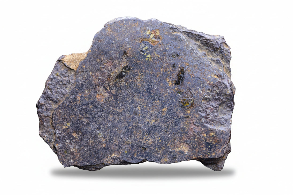 NWA 14867 mesosiderite meteorite endcut slice 14.9 g showing silicate and metal matrix