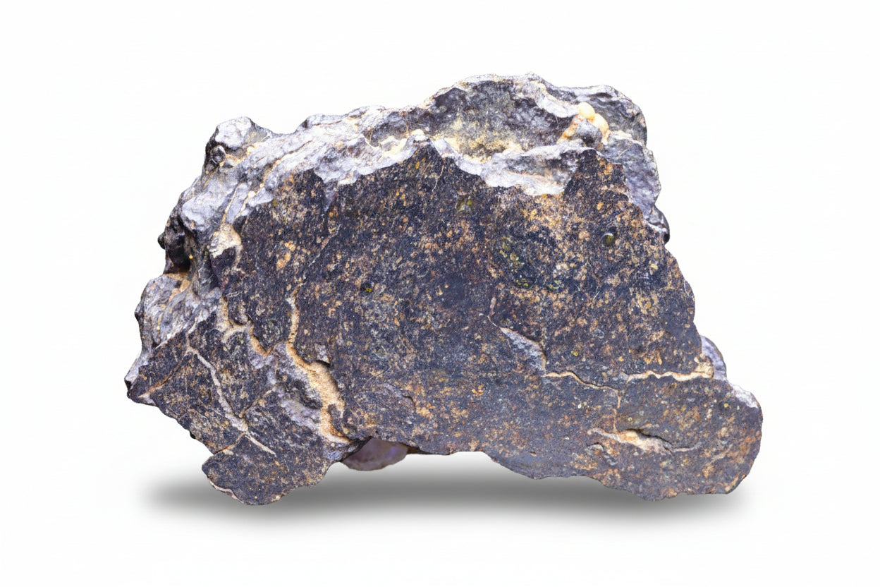 NWA 14867 mesosiderite meteorite endcut slice 24.5 g showing silicate and metal matrix 