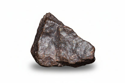 Authentic NWA ordinary chondrite meteorite natural stone fragment