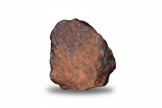 Authentic NWA ordinary chondrite meteorite natural stone fragment