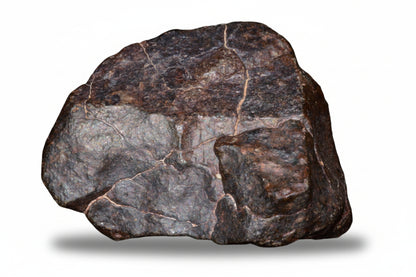 Authentic NWA ordinary chondrite meteorite natural stone fragment