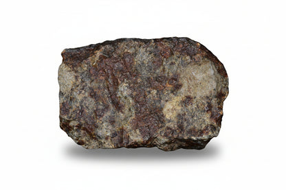 Authentic NWA ordinary chondrite meteorite natural stone fragment