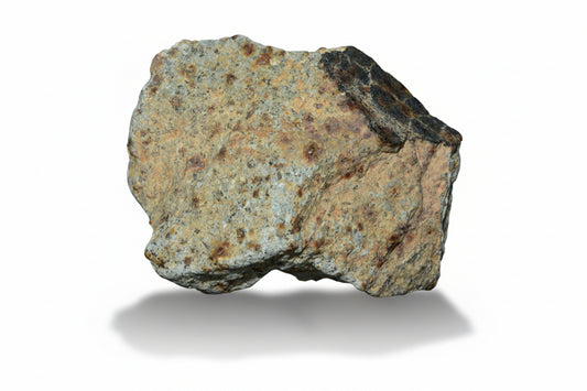 Authentic NWA ordinary chondrite meteorite natural fragment