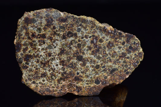 Authentic NWA chondrite meteorite specimen with visible chondrules