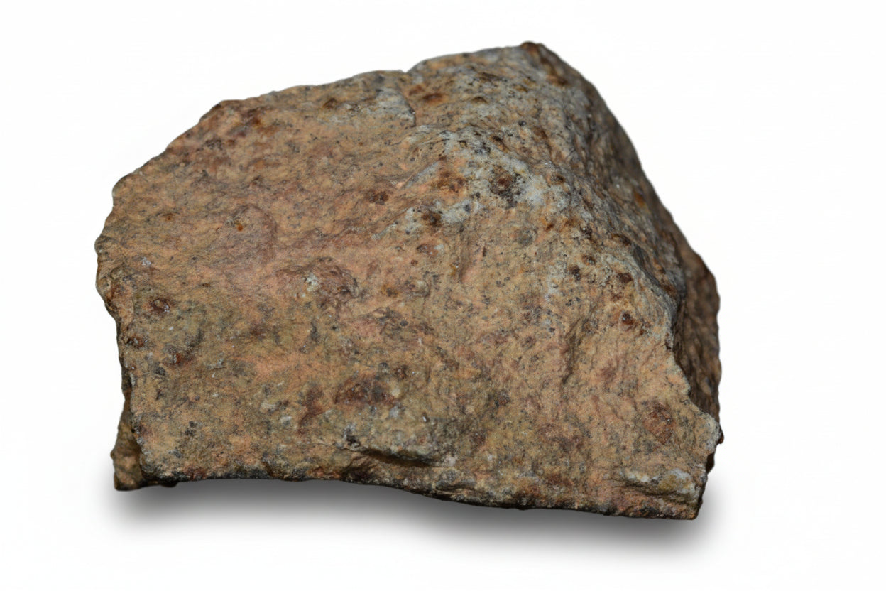 Authentic NWA chondrite meteorite showing internal structure
