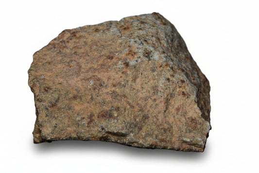 Authentic NWA chondrite meteorite showing internal structure