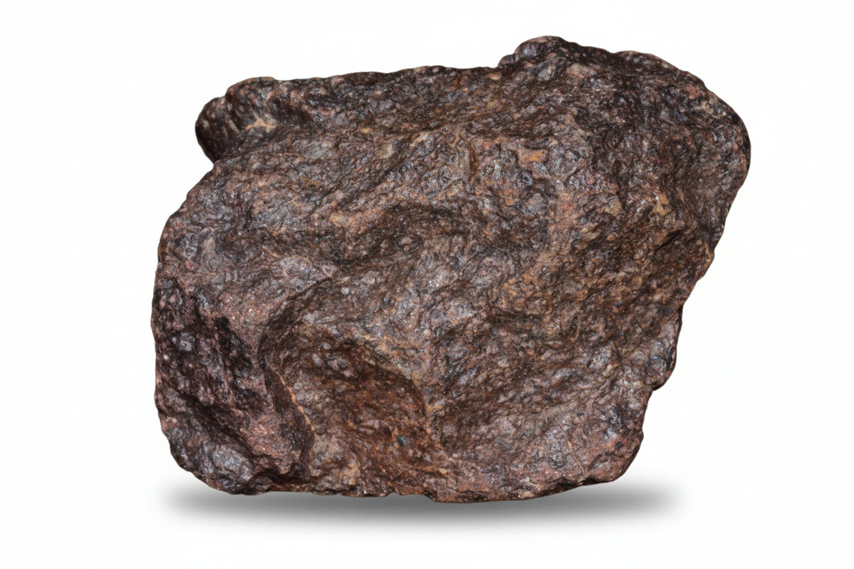 Authentic ordinary chondrite meteorite specimen NWA